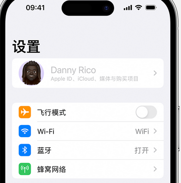 沙嘴街道appleID维修服务iPhone设置中Apple ID显示为灰色无法使用