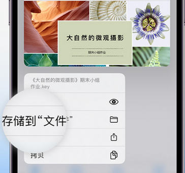 沙嘴街道apple维修中心分享iPhone文件应用中存储和找到下载文件