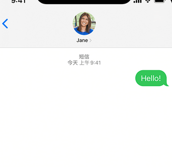 沙嘴街道apple维修iPhone上无法正常发送iMessage信息