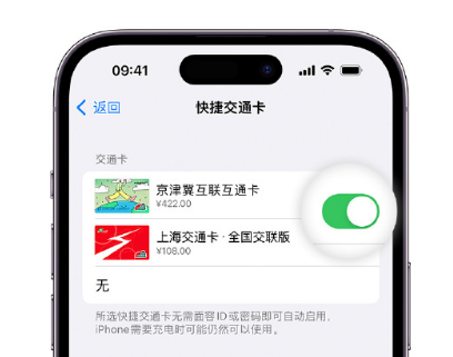 沙嘴街道apple维修点分享iPhone上更换Apple Pay快捷交通卡手绘卡面 