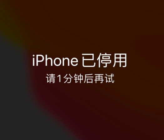 沙嘴街道苹果手机维修分享:iPhone 显示“不可用”或“已停用”怎么办？还能保留数据吗？ 