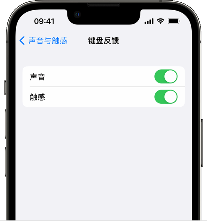 沙嘴街道苹果14维修店分享如何在 iPhone 14 机型中使用触感键盘 