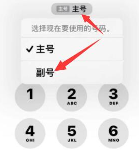 沙嘴街道苹果14维修店分享iPhone 14 Pro Max使用副卡打电话的方法 