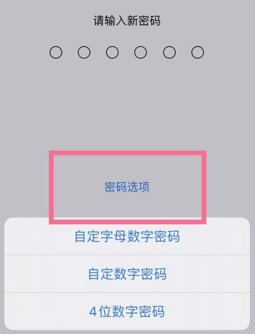 沙嘴街道苹果14维修分享iPhone 14plus设置密码的方法 