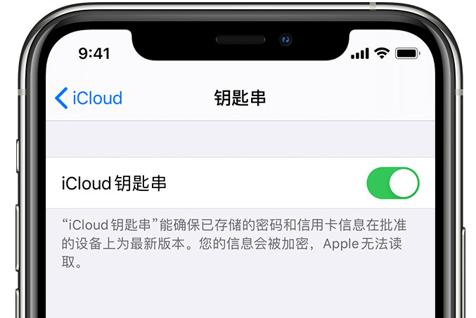 沙嘴街道苹果手机维修分享在 iPhone 上开启 iCloud 钥匙串之后会储存哪些信息 