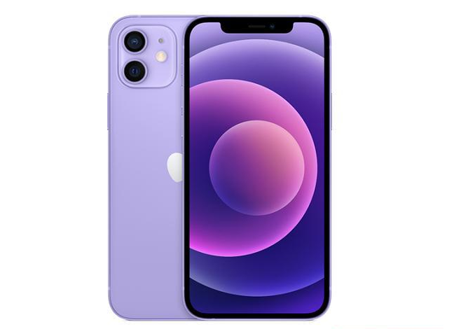 沙嘴街道苹果手机维修分享现阶段要不要入手紫色版iPhone12 