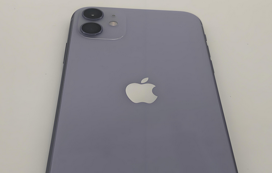 沙嘴街道苹果11系统维修分享iPhone11手机系统崩溃无法开机如何解决 